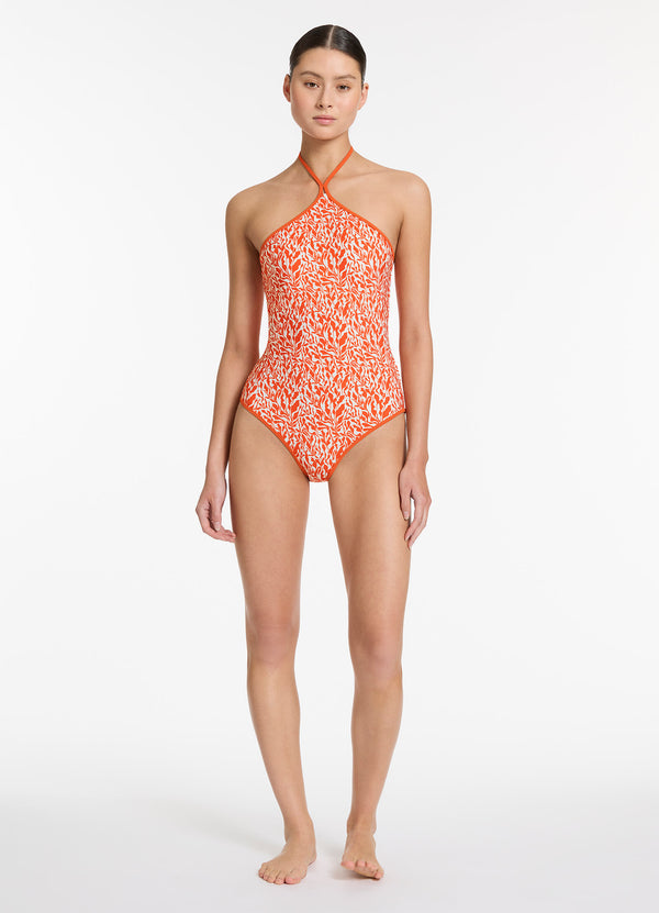 Sereno Ditsy High Neck Halter One Piece - Coral