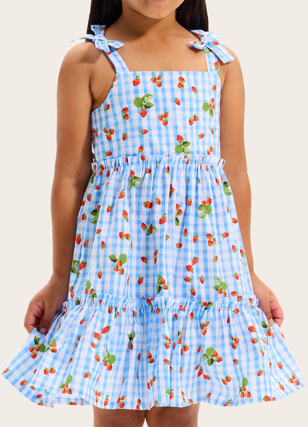 Beach Picnic Tiered Dress
