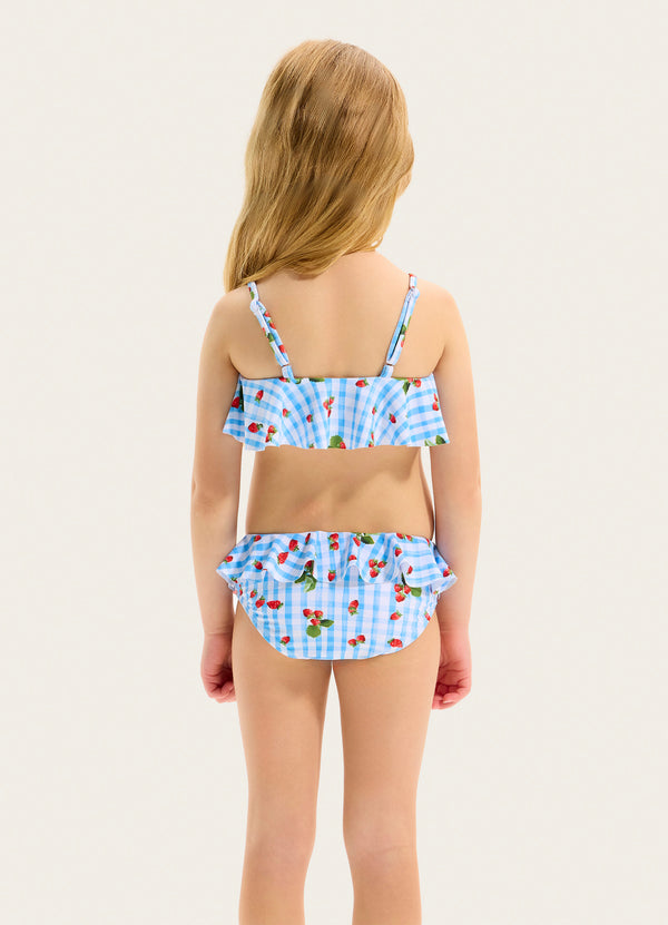 Beach Picnic Bikini