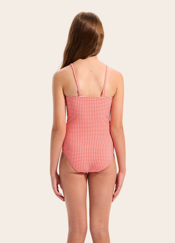 Gingham One Piece Swimsuit