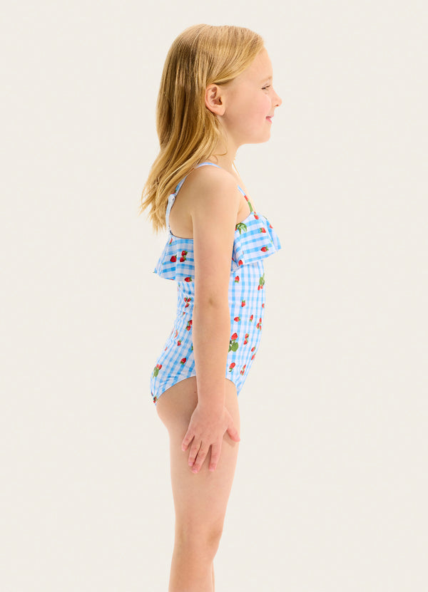 Beach Picnic One-piece